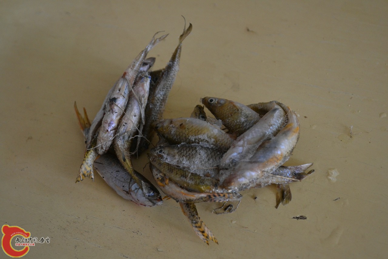 20120402-521.jpg