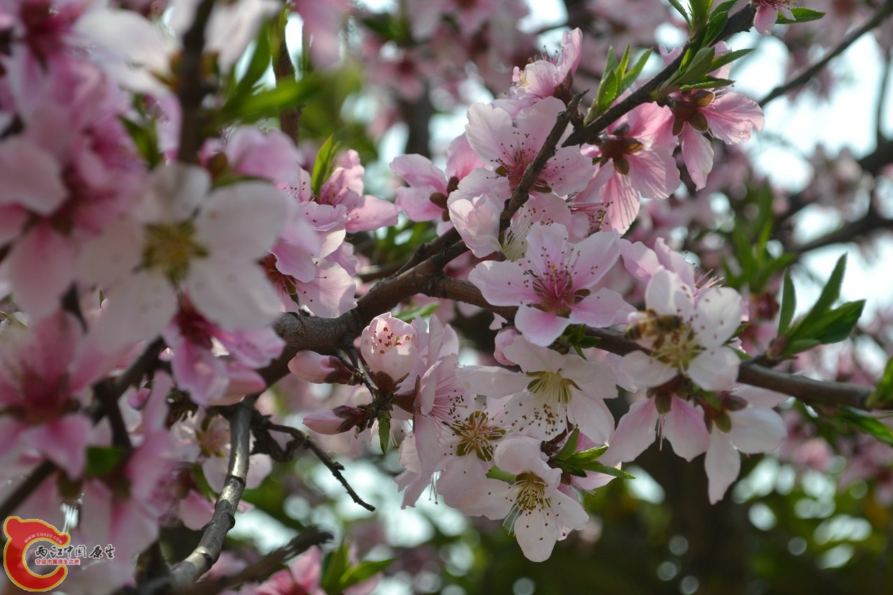 20120402-436.jpg