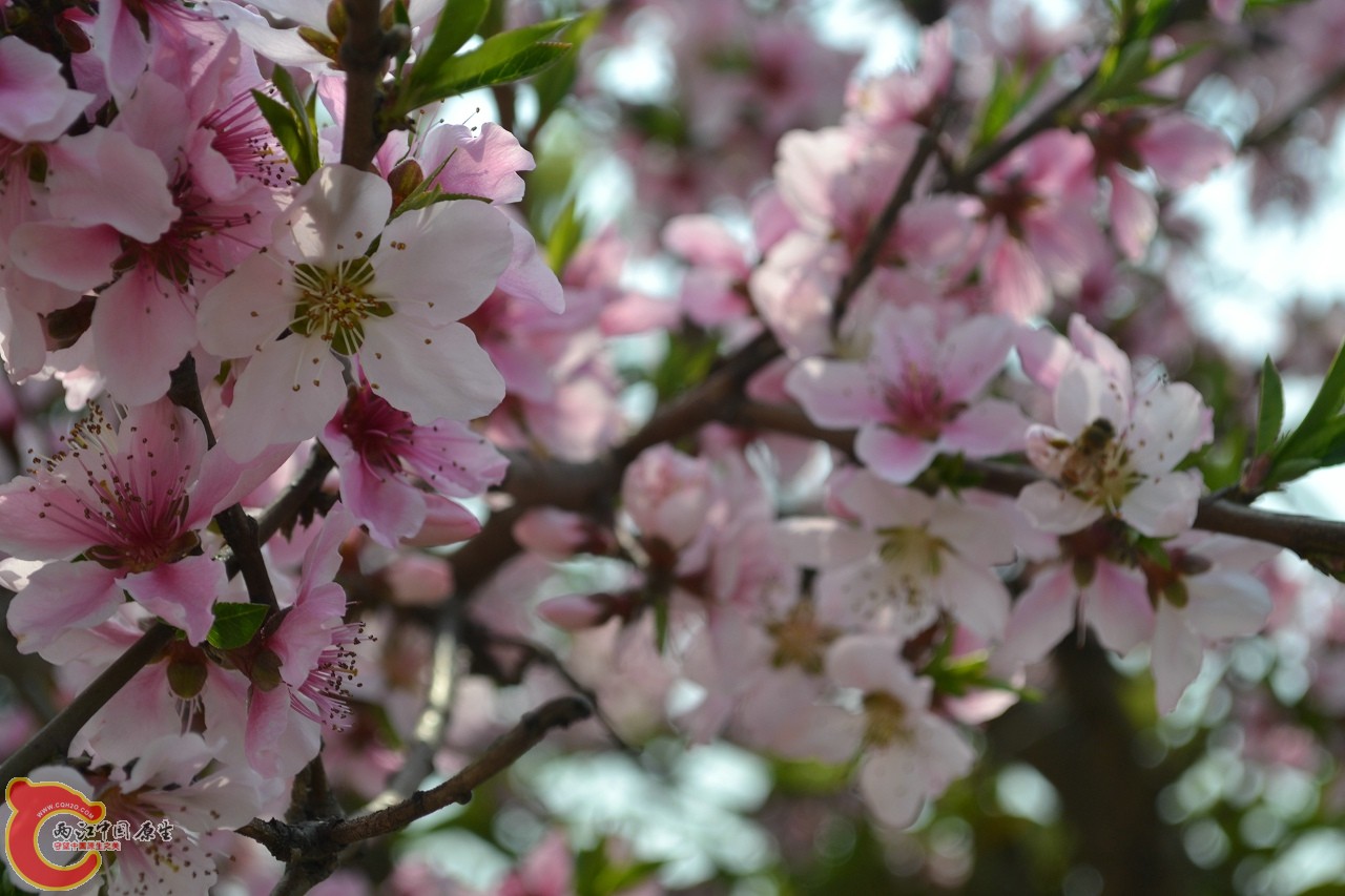 20120402-437.jpg