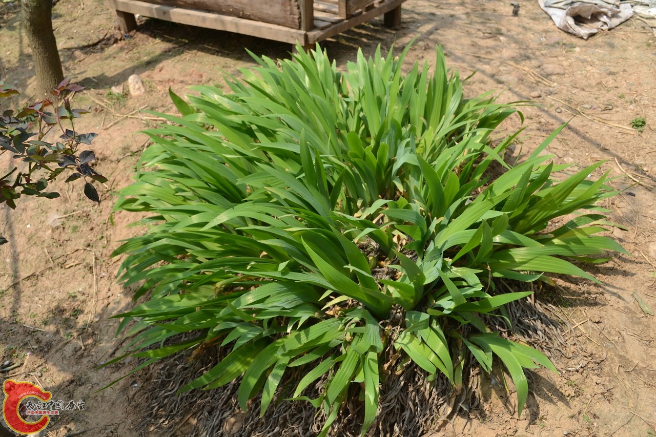 20120402-454.jpg