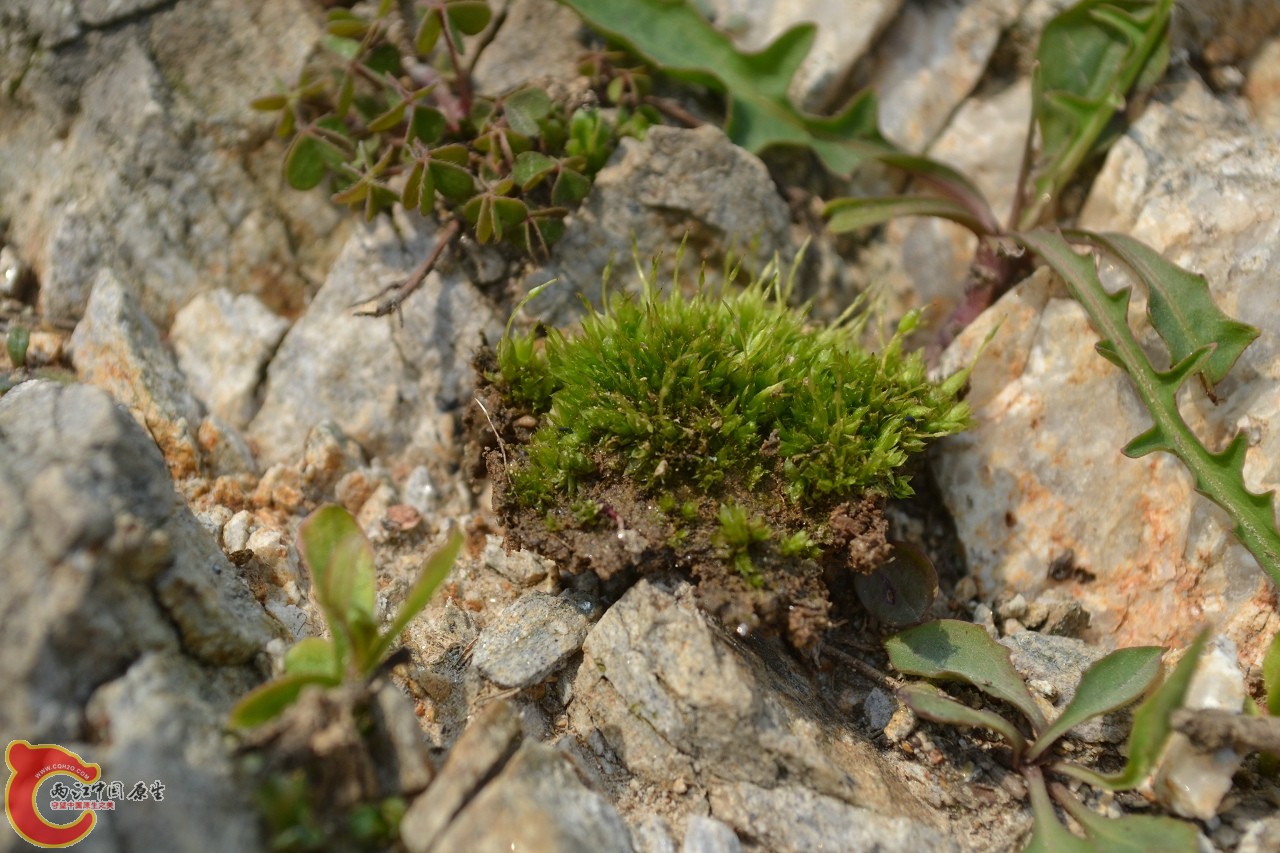 20120402-496.jpg