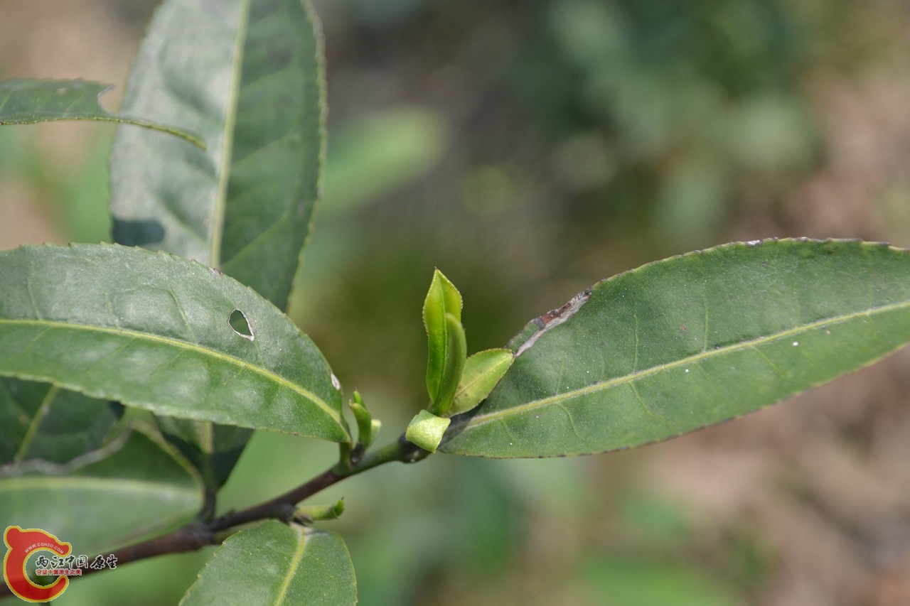 20120402-529.jpg