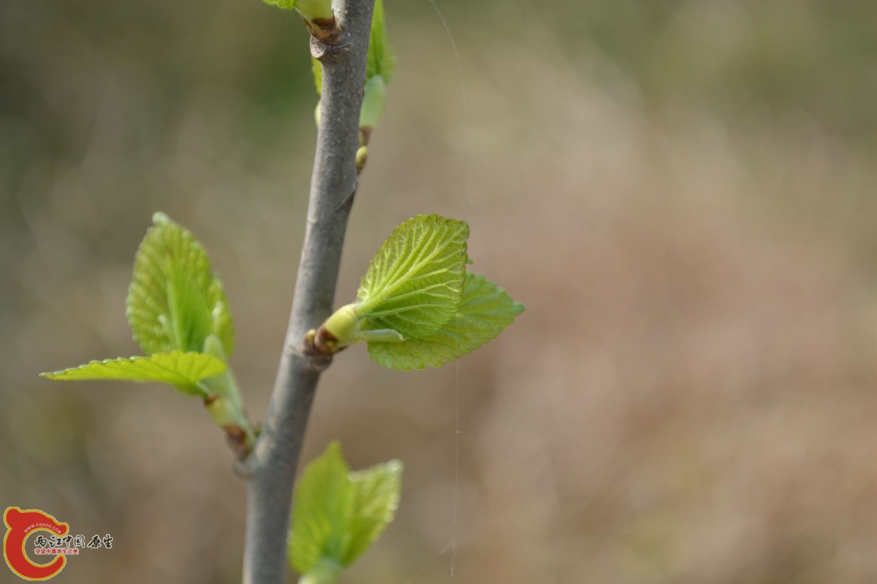20120402-568.jpg