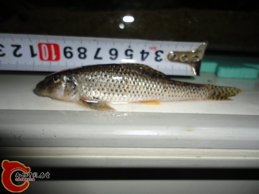 DSC01306.JPG