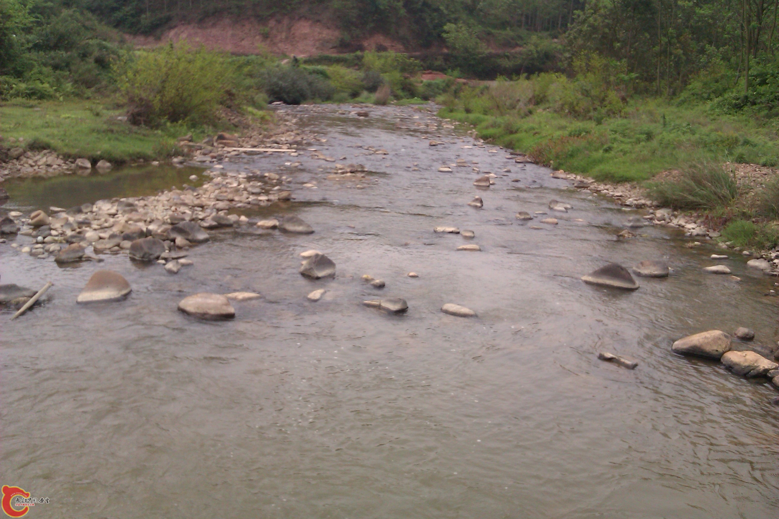 IMAG0293.jpg