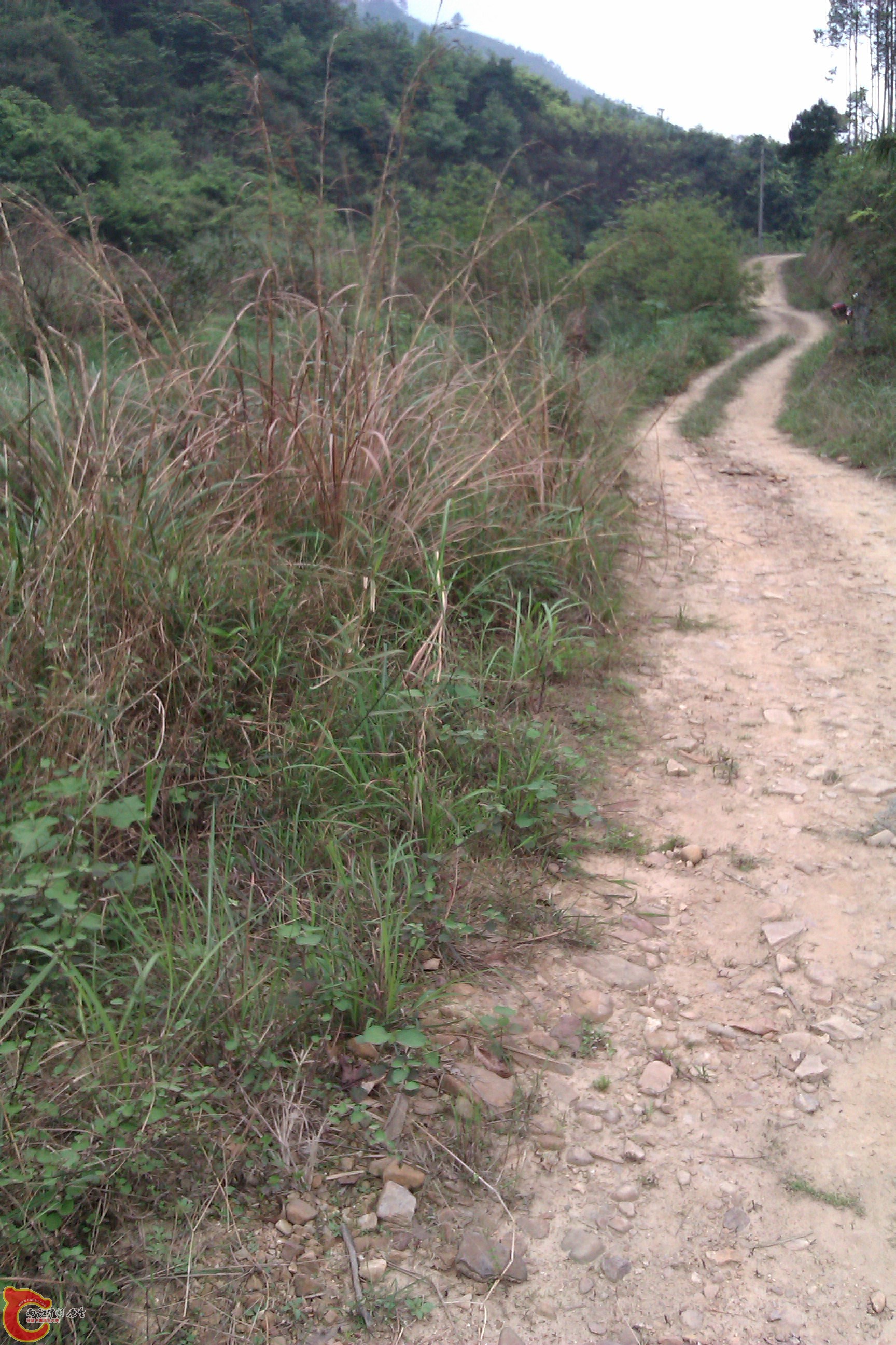 IMAG0295.jpg