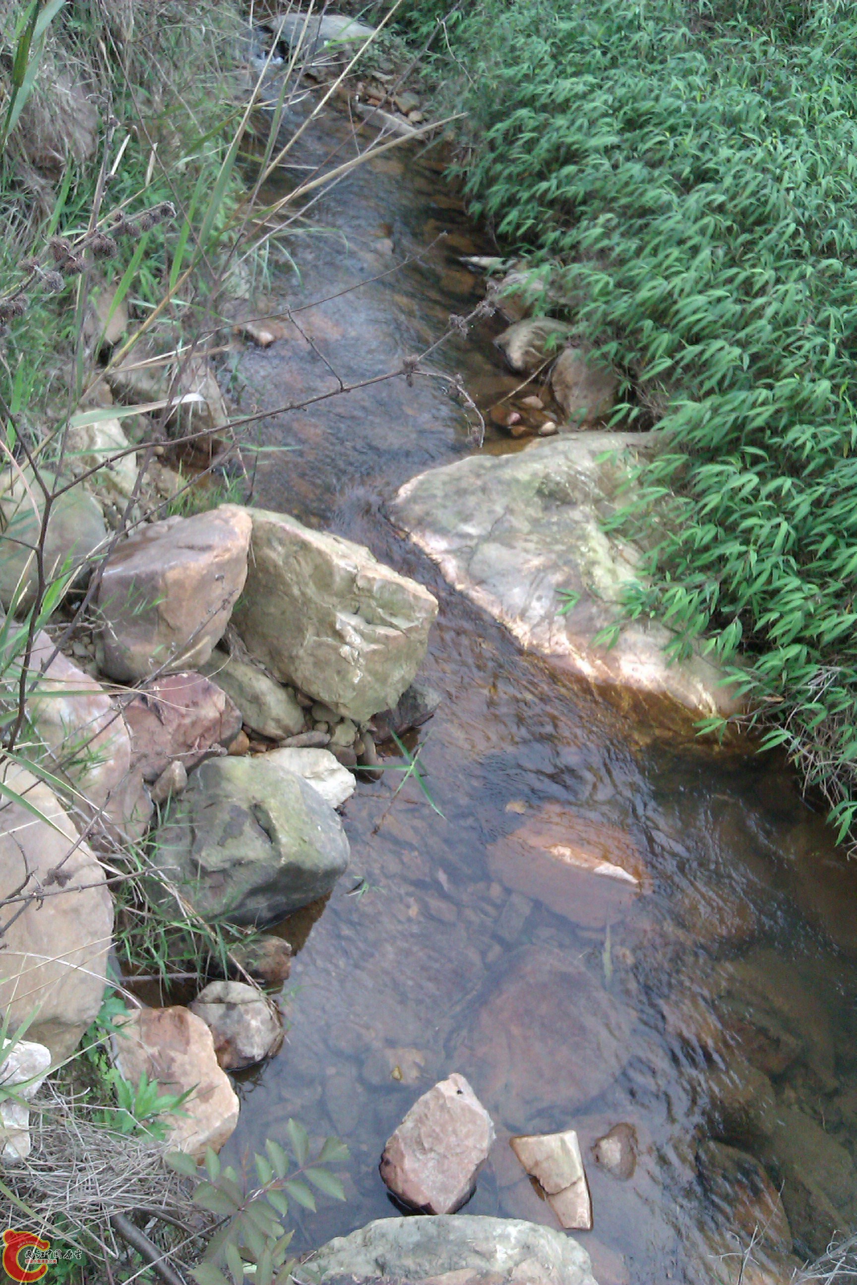 IMAG0296.jpg