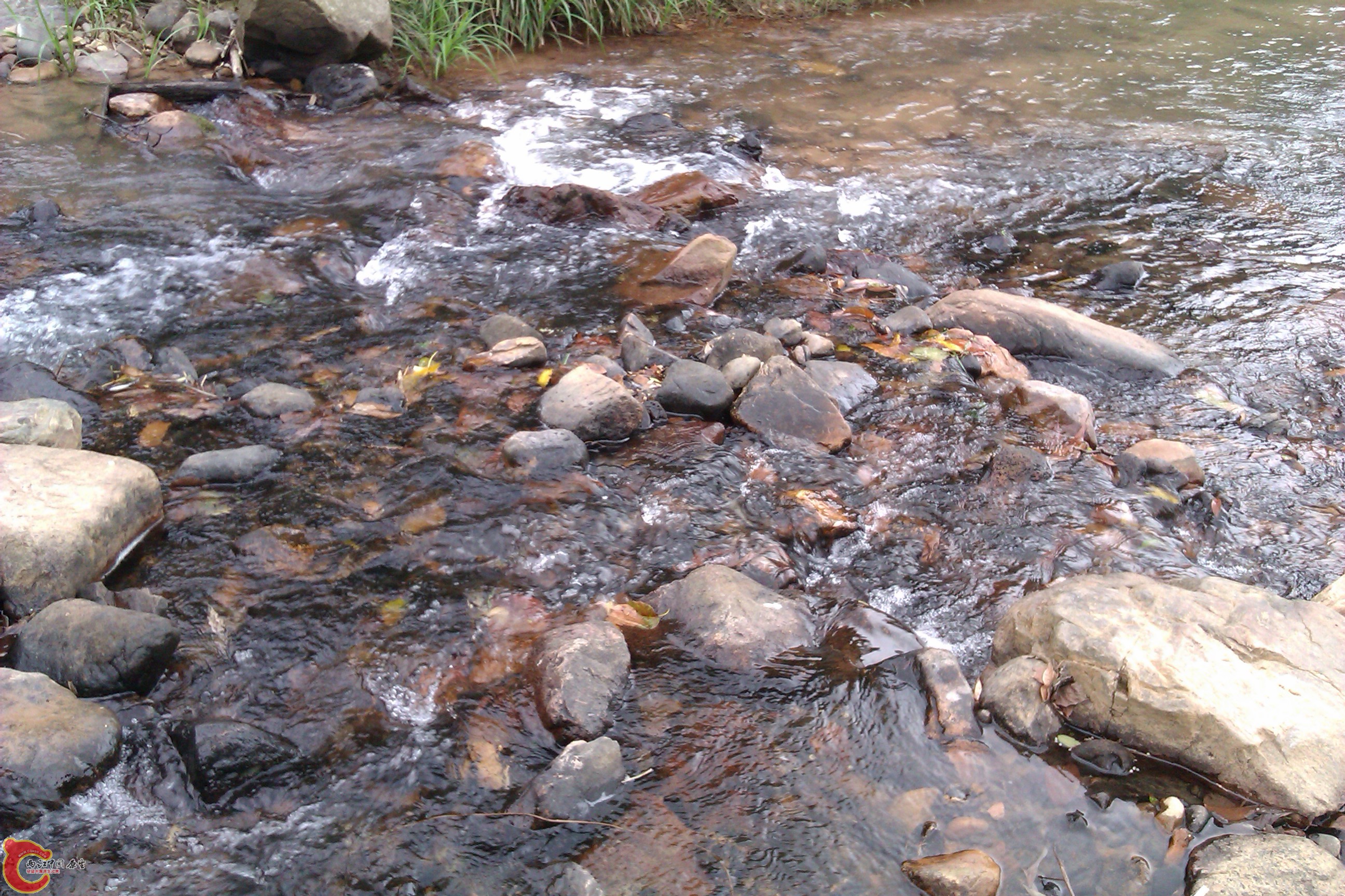 IMAG0302.jpg
