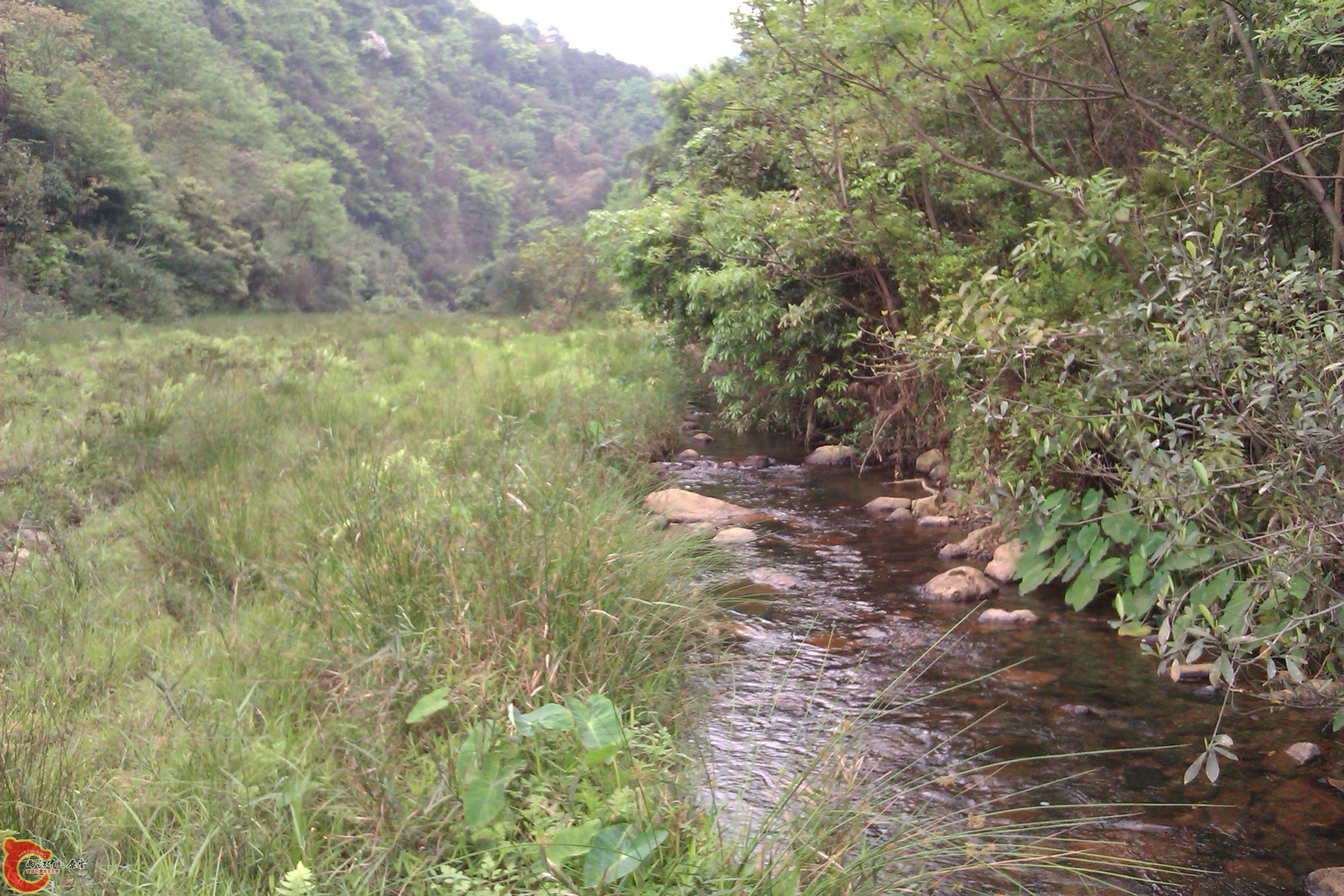 IMAG0304.jpg