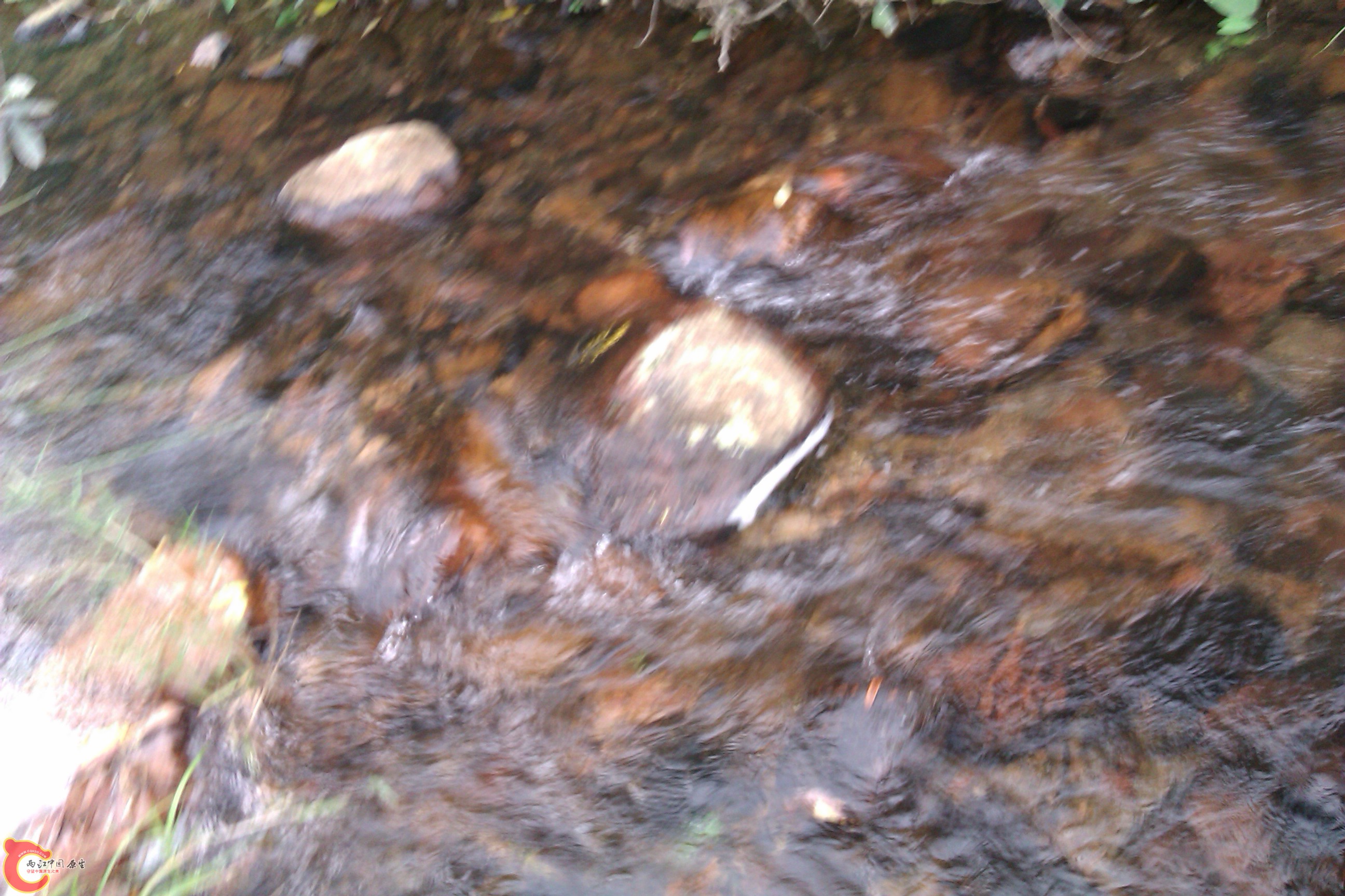 IMAG0306.jpg