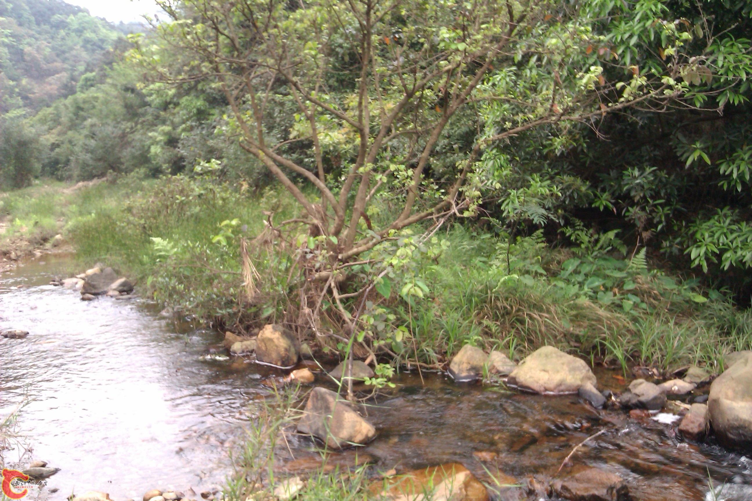 IMAG0308.jpg