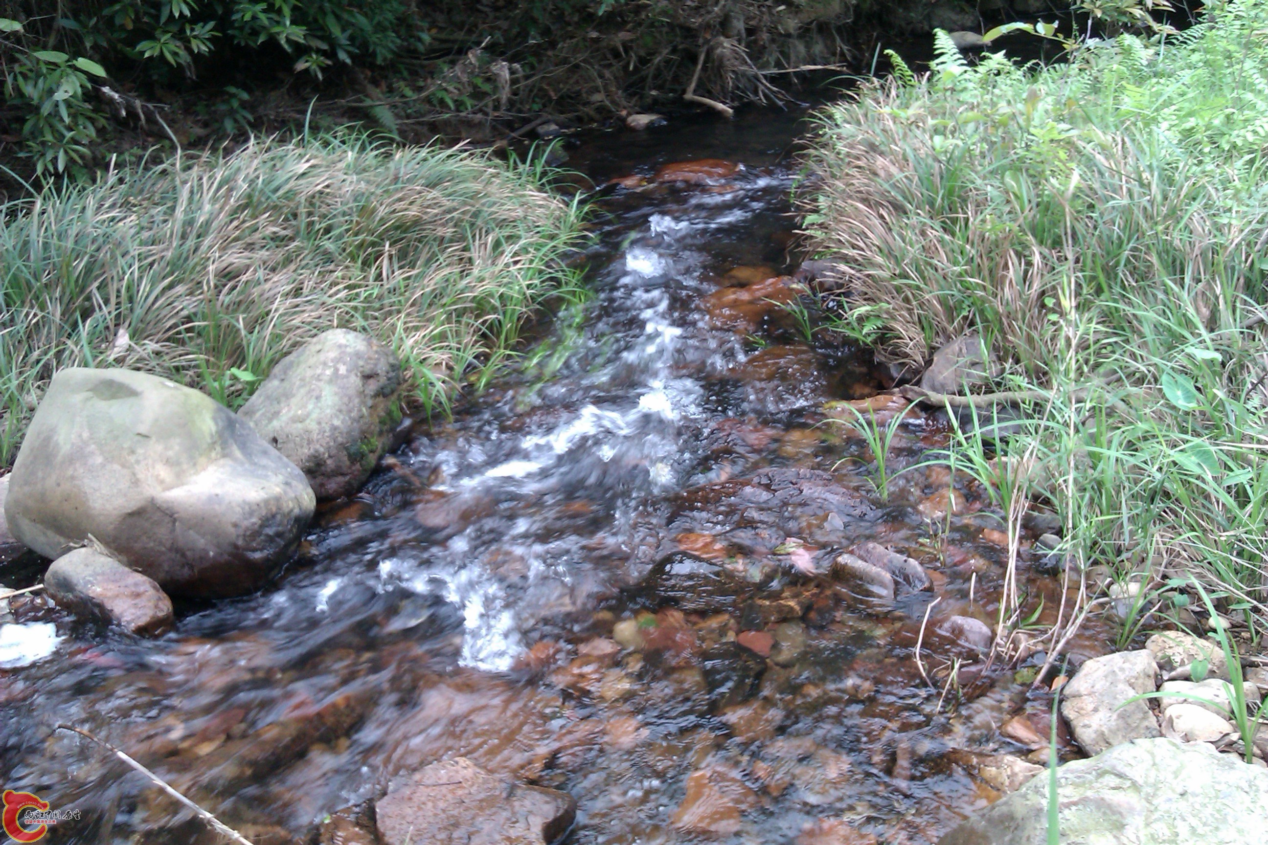 IMAG0309.jpg