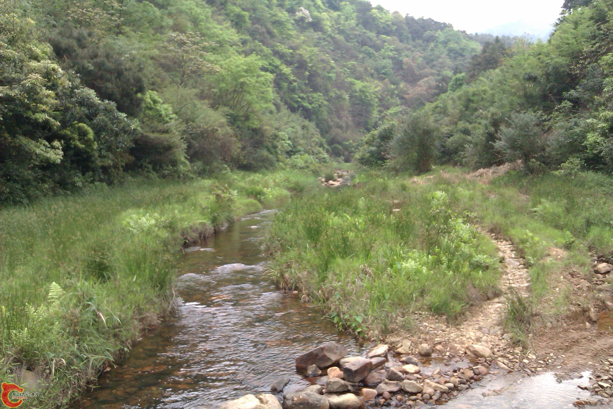 IMAG0311.jpg