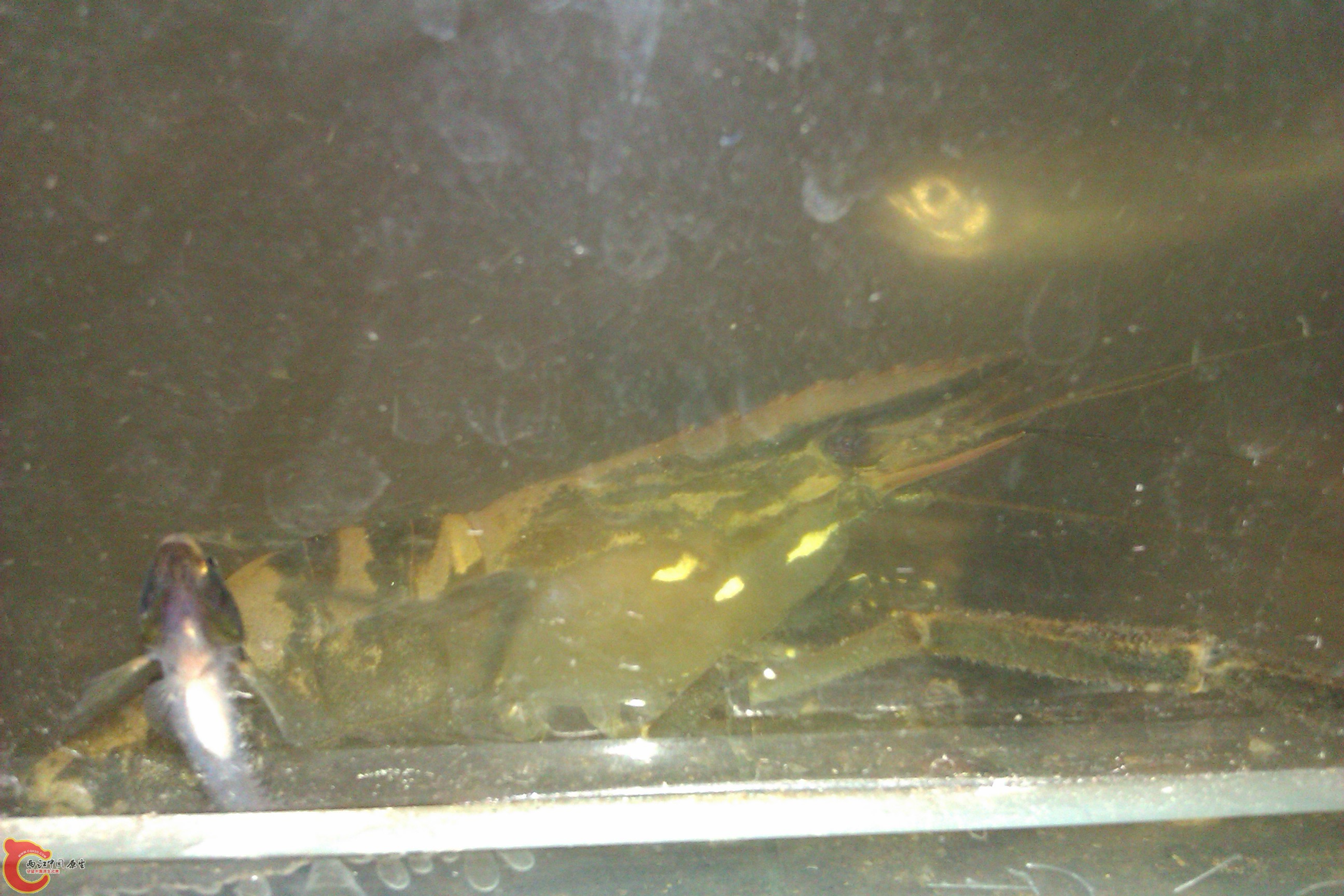 IMAG0313.jpg