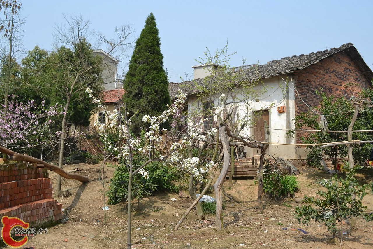 20120402-434.jpg