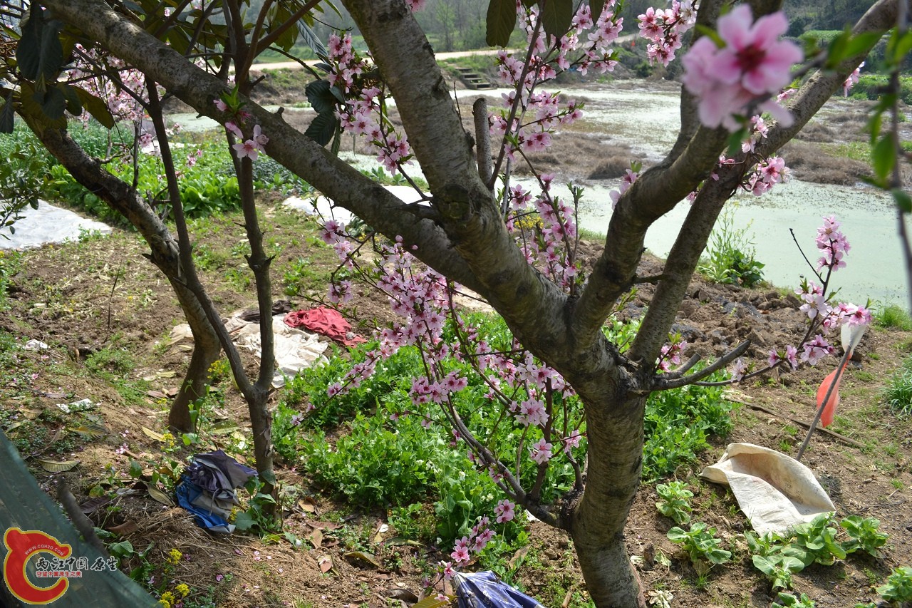 20120402-442.jpg