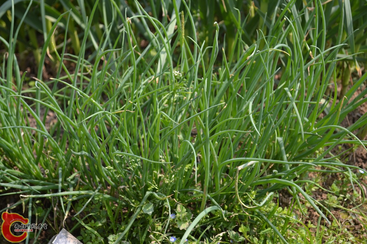20120402-447.jpg