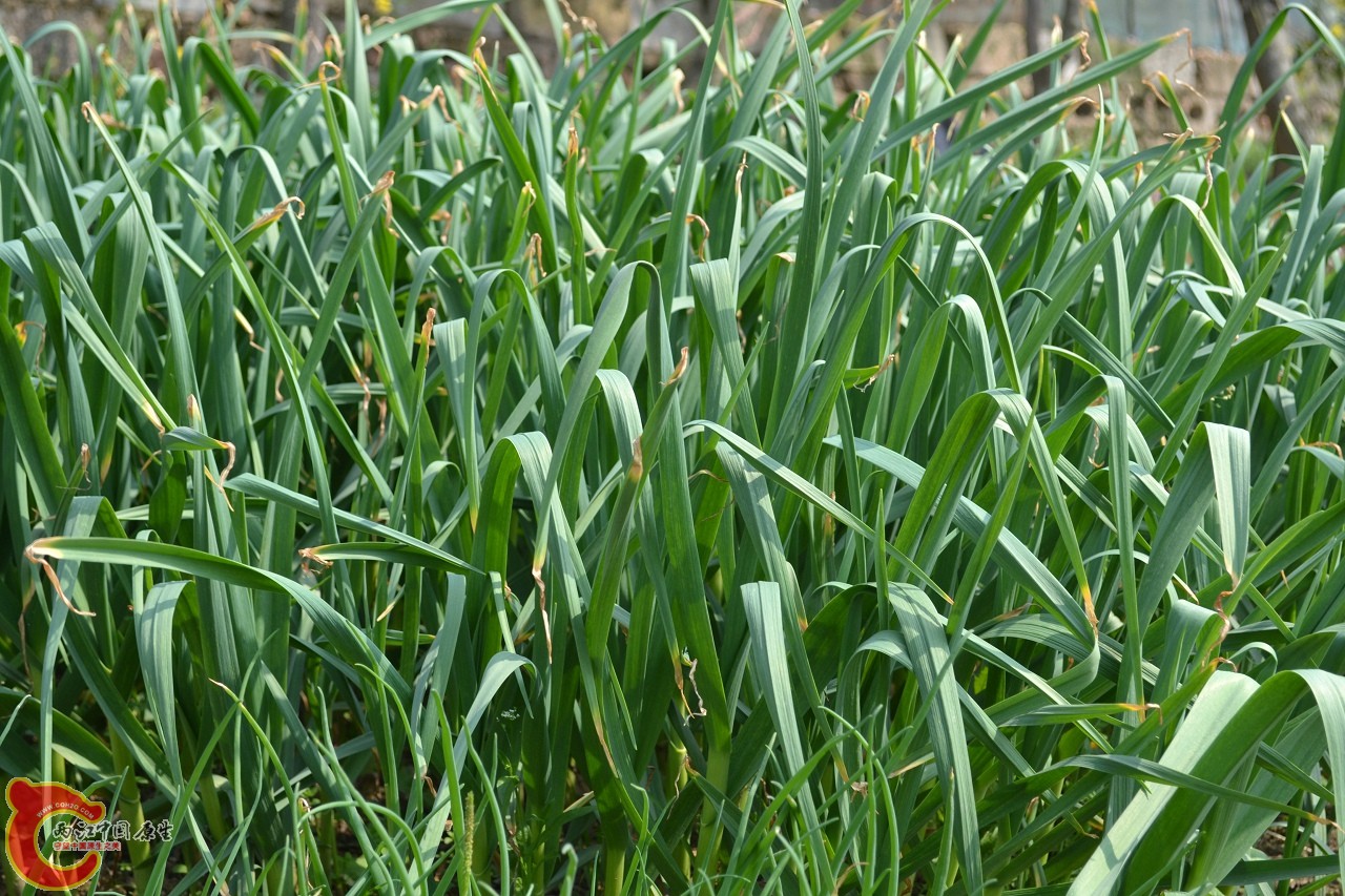 20120402-448.jpg