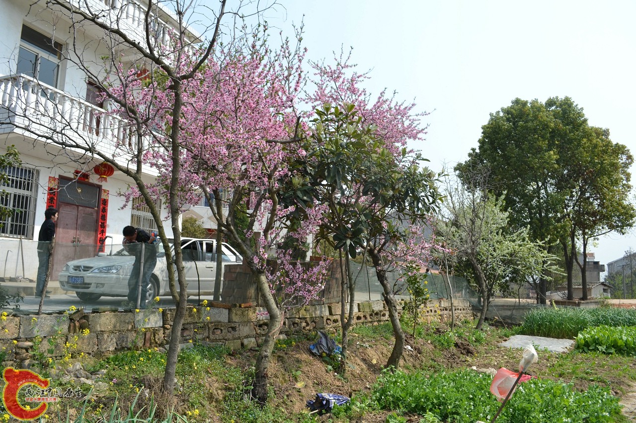 20120402-449.jpg