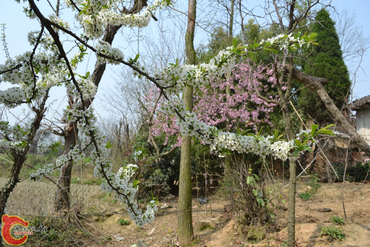 20120402-457.jpg