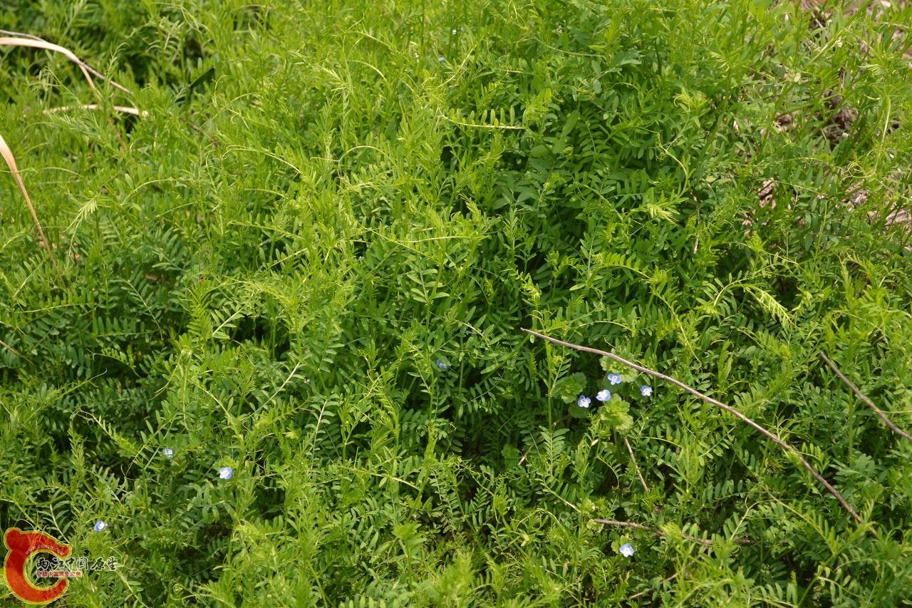 20120402-467.jpg