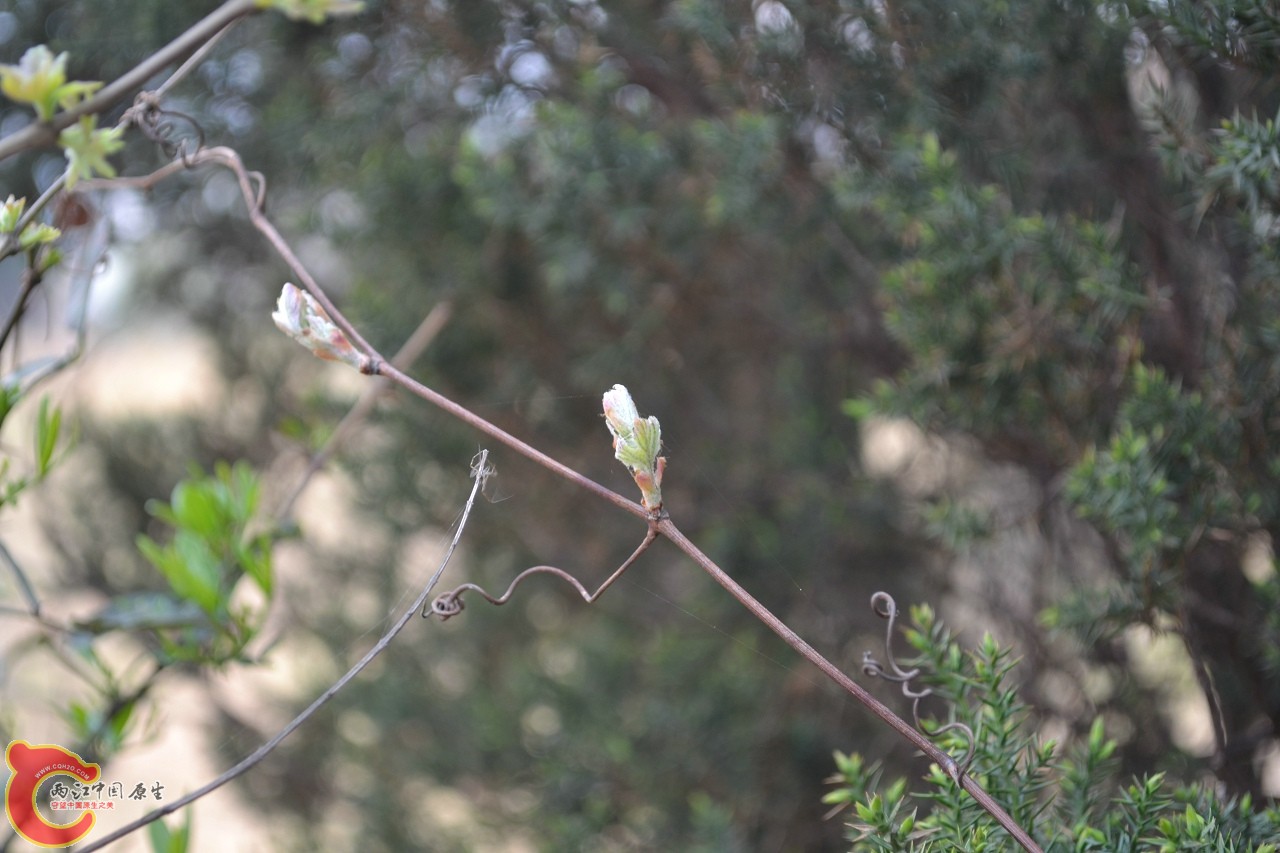 20120402-468.jpg