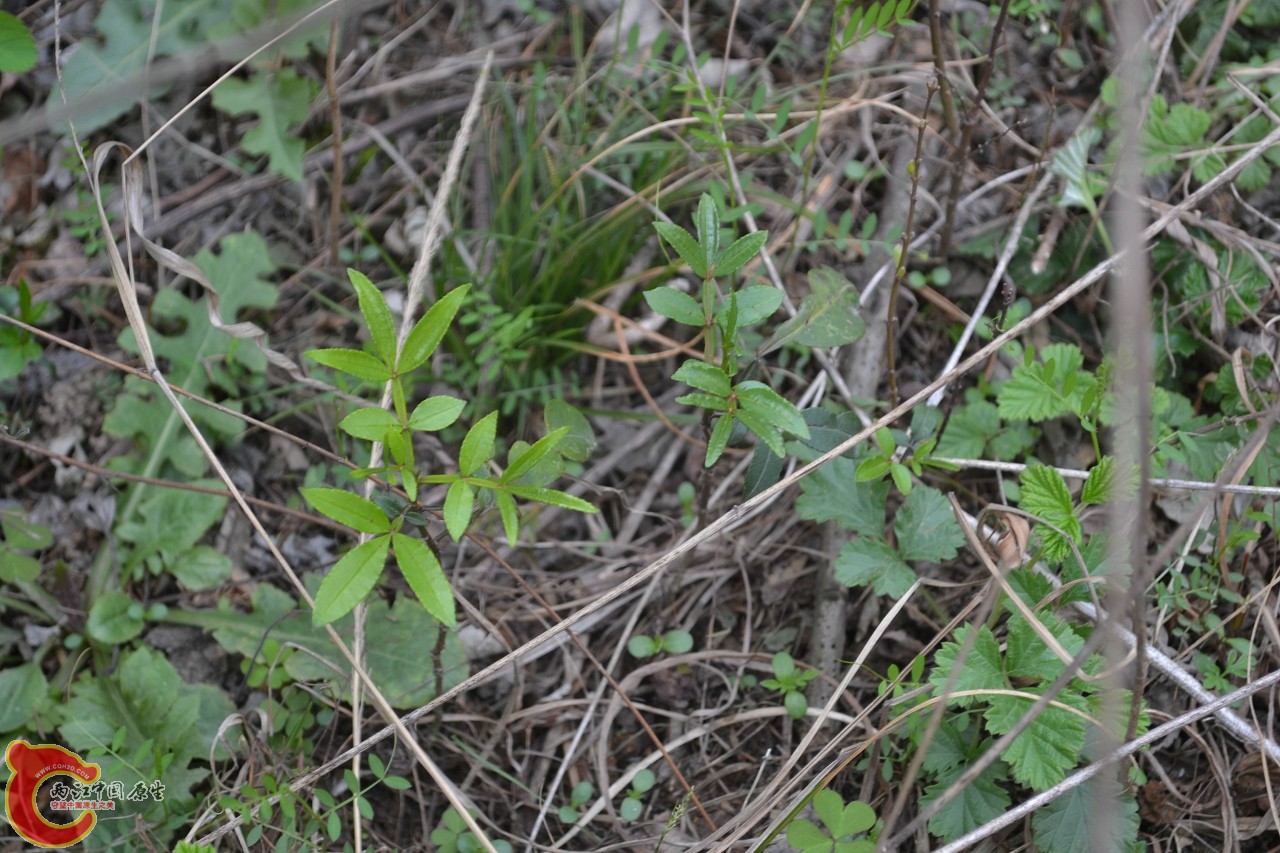 20120402-469.jpg
