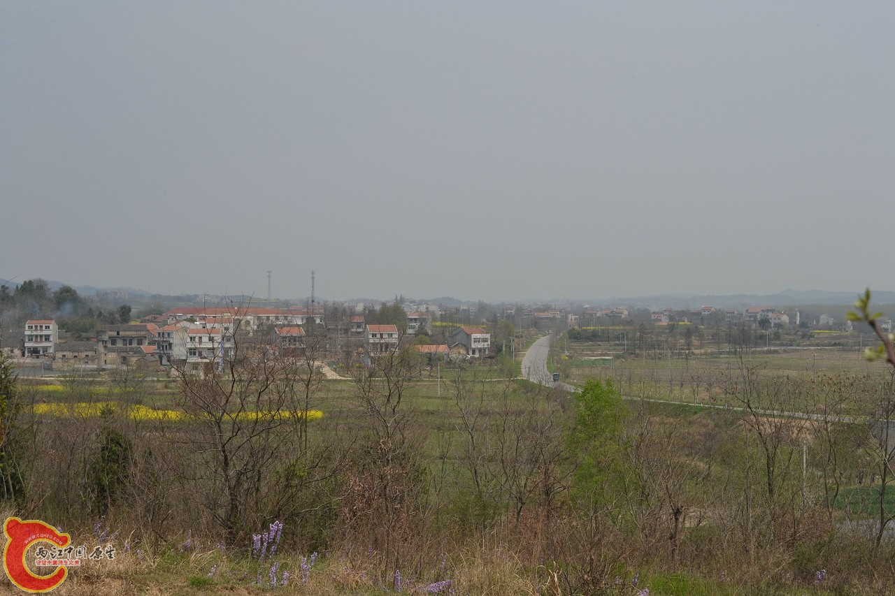 20120402-472.jpg