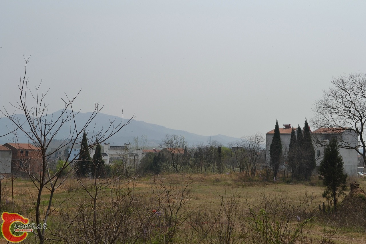 20120402-478.jpg