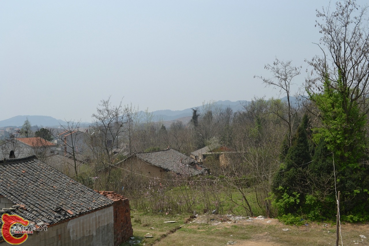 20120402-508.jpg