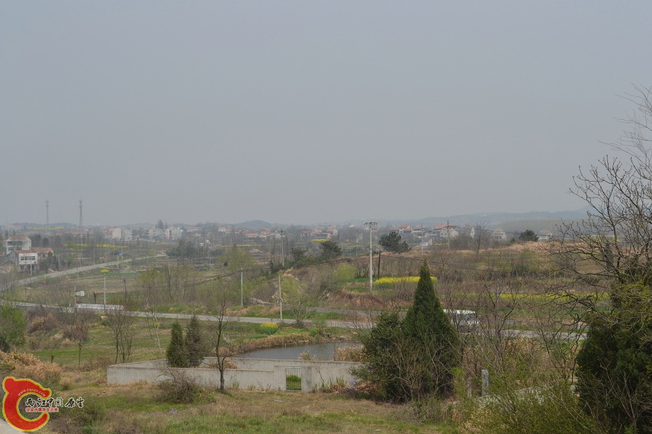20120402-510.jpg
