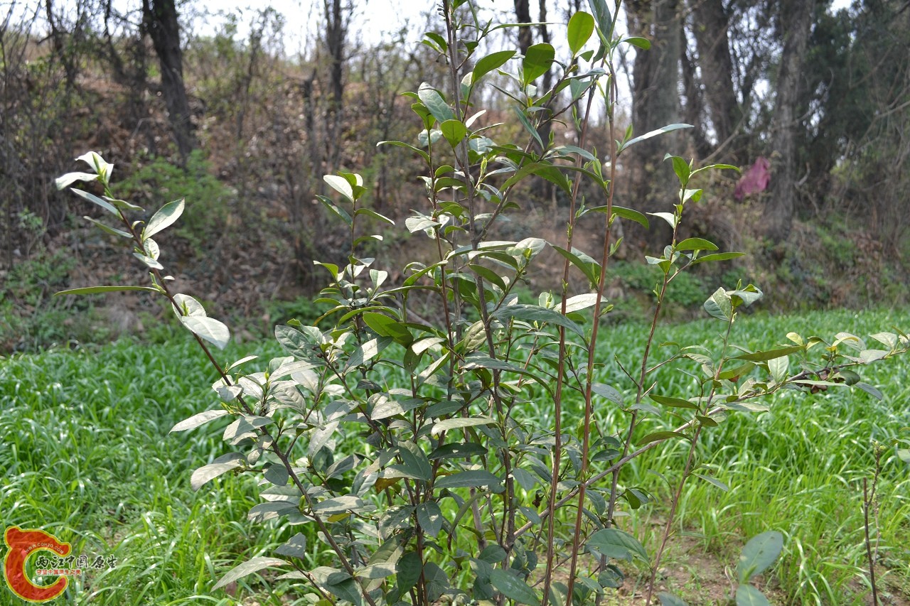 20120402-528.jpg