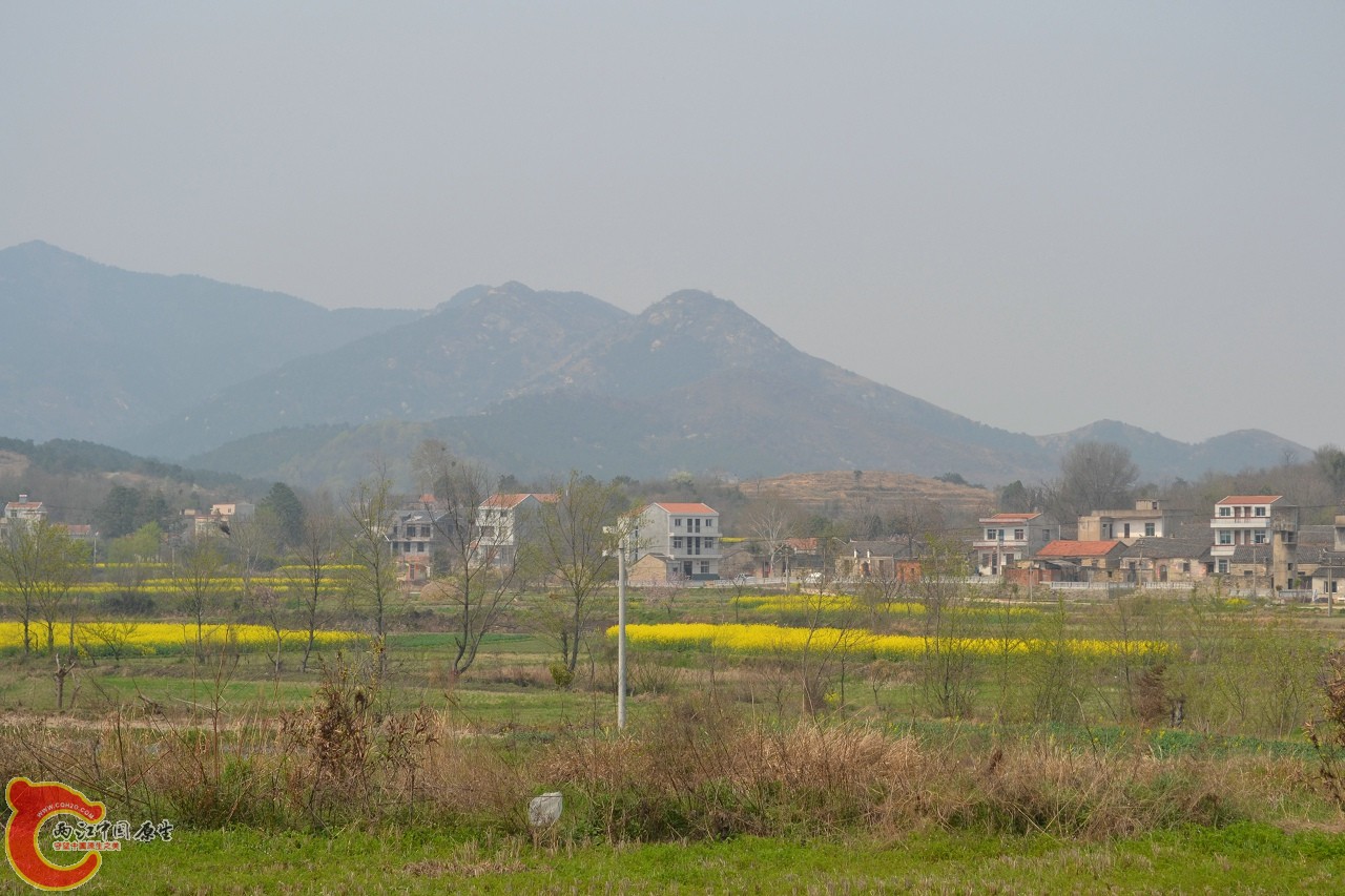20120402-534.jpg