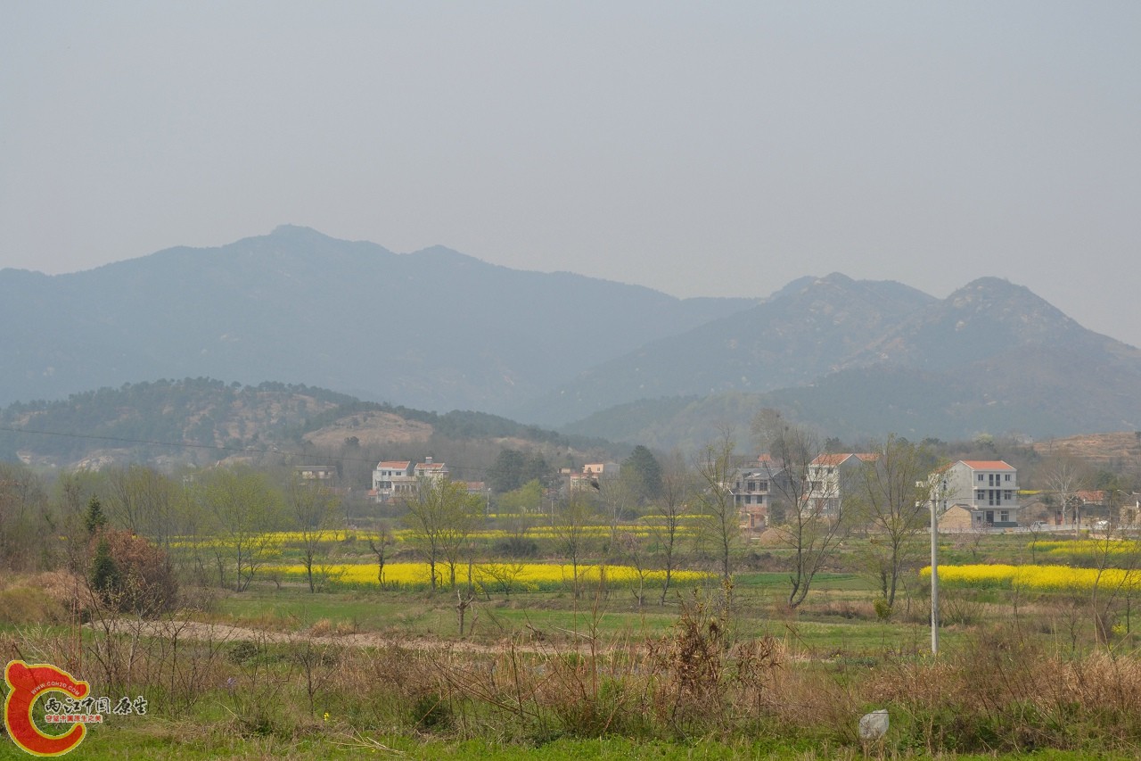 20120402-535.jpg