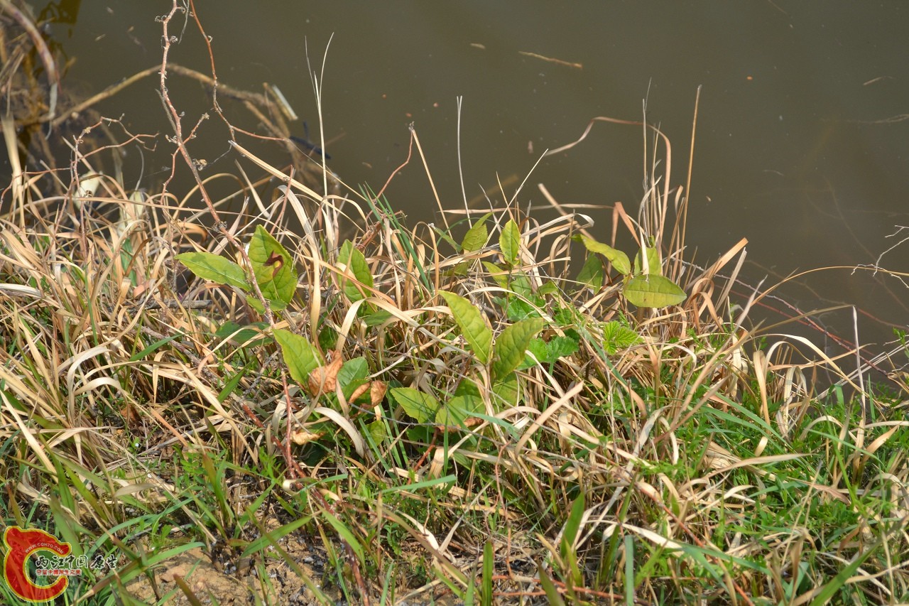 20120402-536.jpg