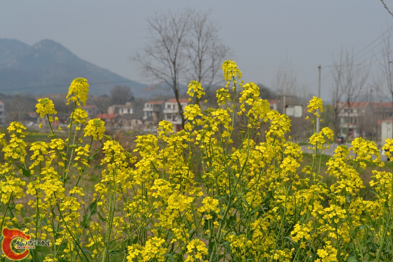 20120402-539.jpg
