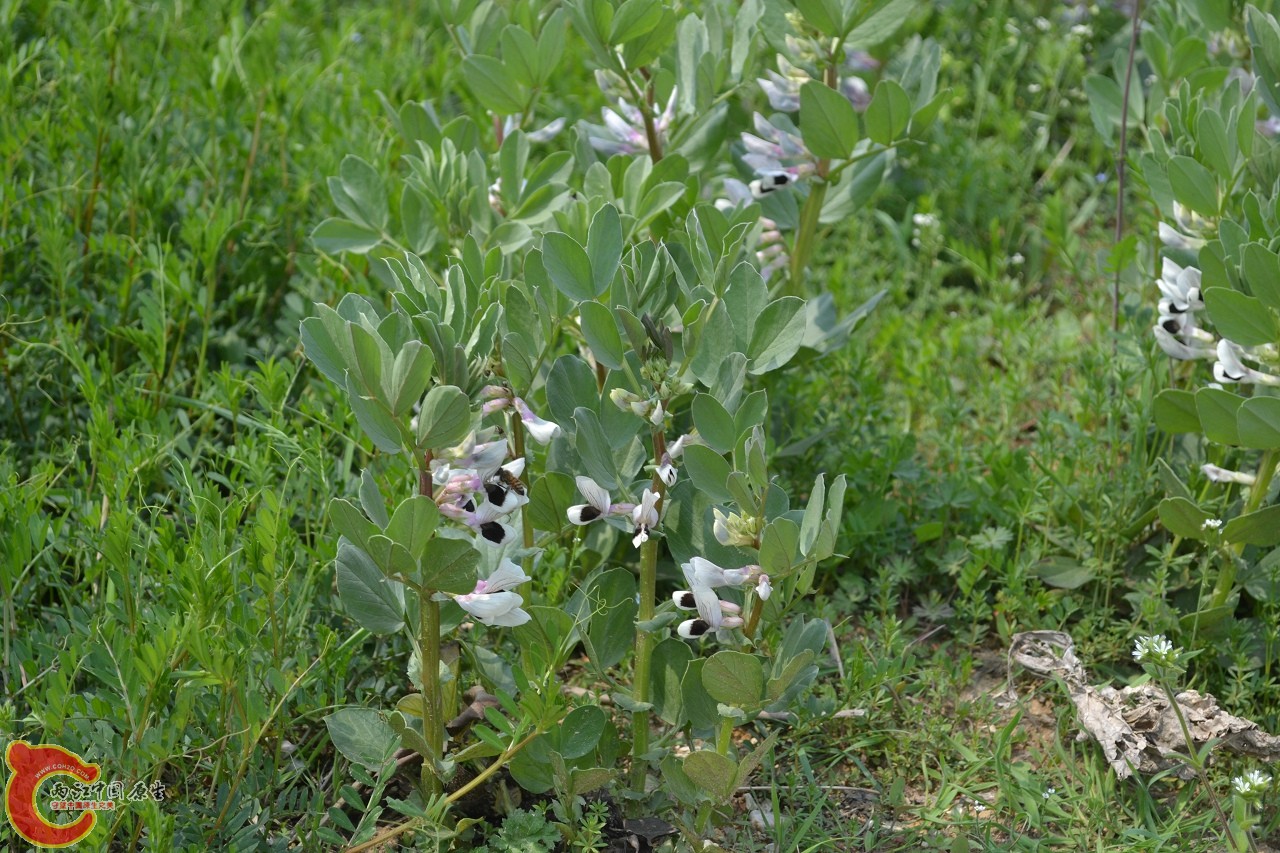 20120402-541.jpg