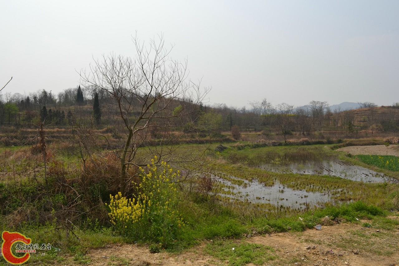 20120402-544.jpg
