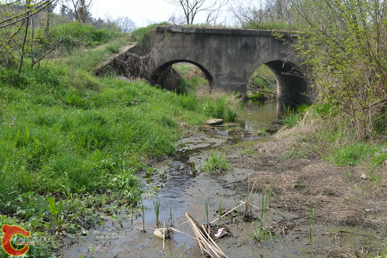 20120402-547.jpg