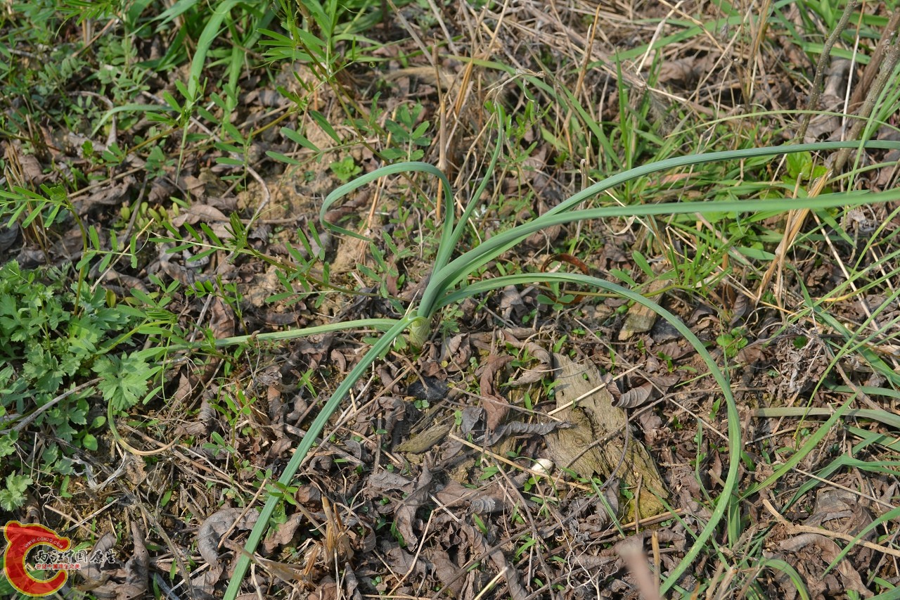 20120402-551.jpg