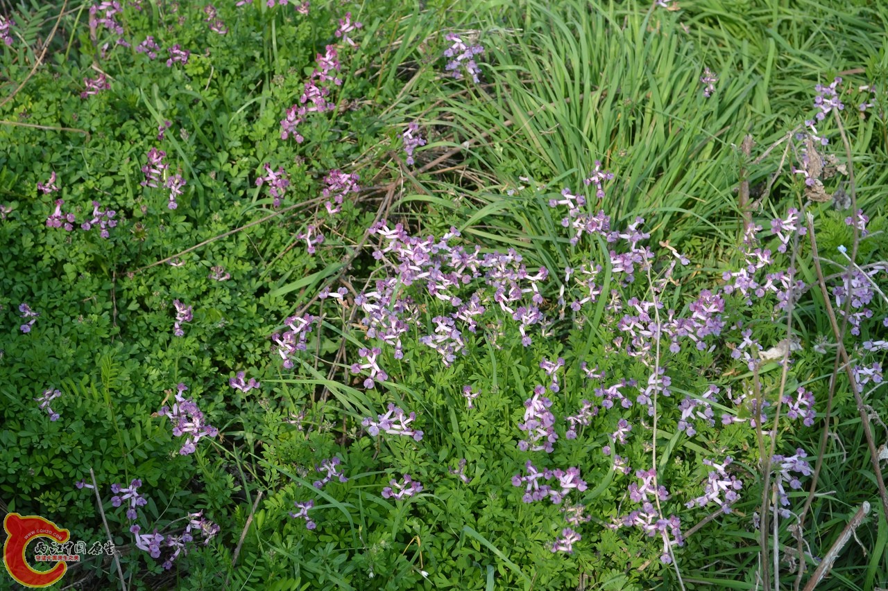 20120402-552.jpg