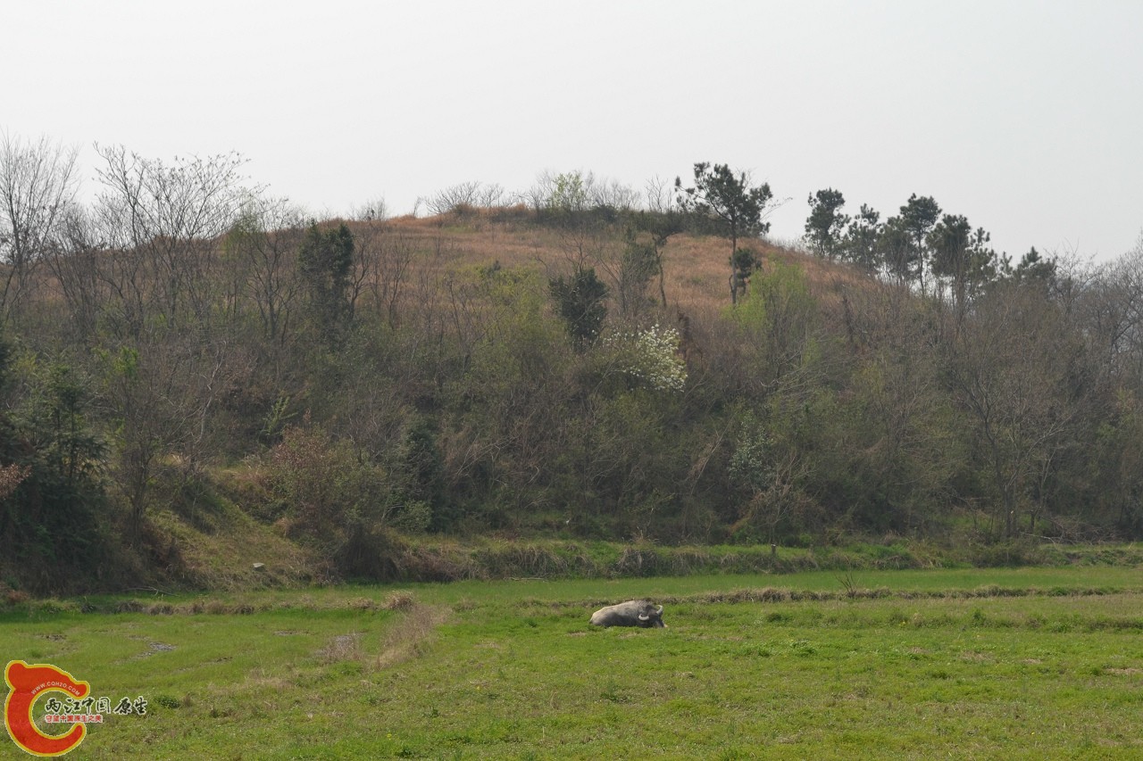 20120402-553.jpg