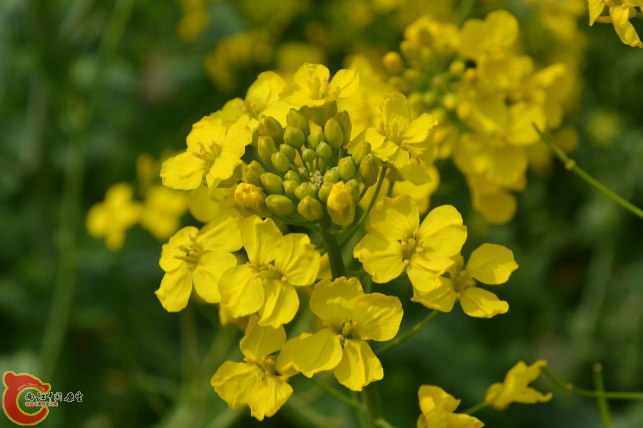 20120402-554.jpg
