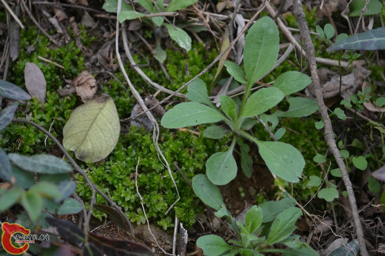 20120402-560.jpg