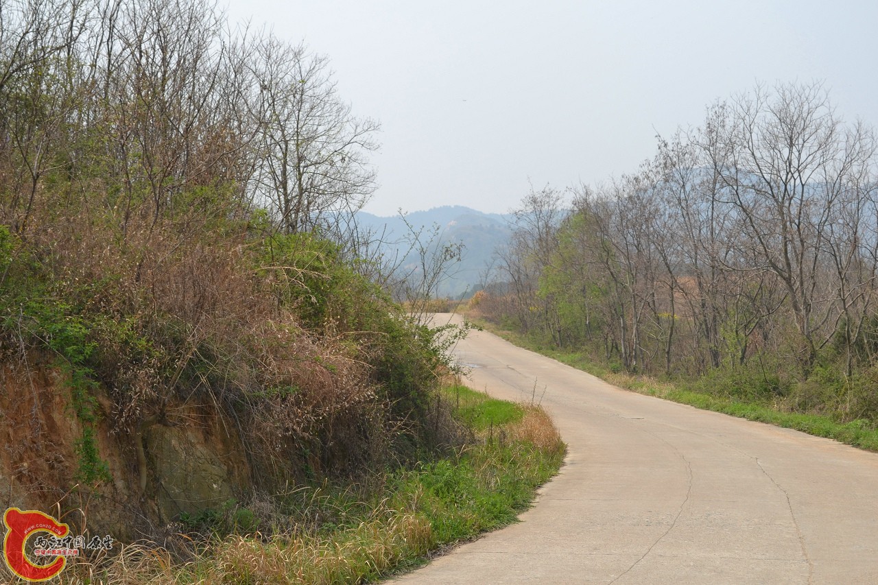 20120402-564.jpg