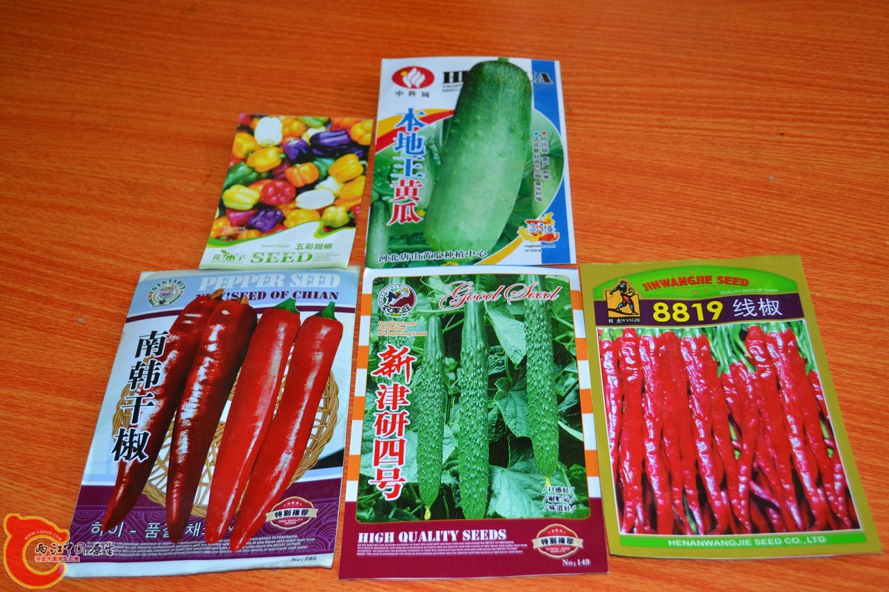 20120402-590.jpg