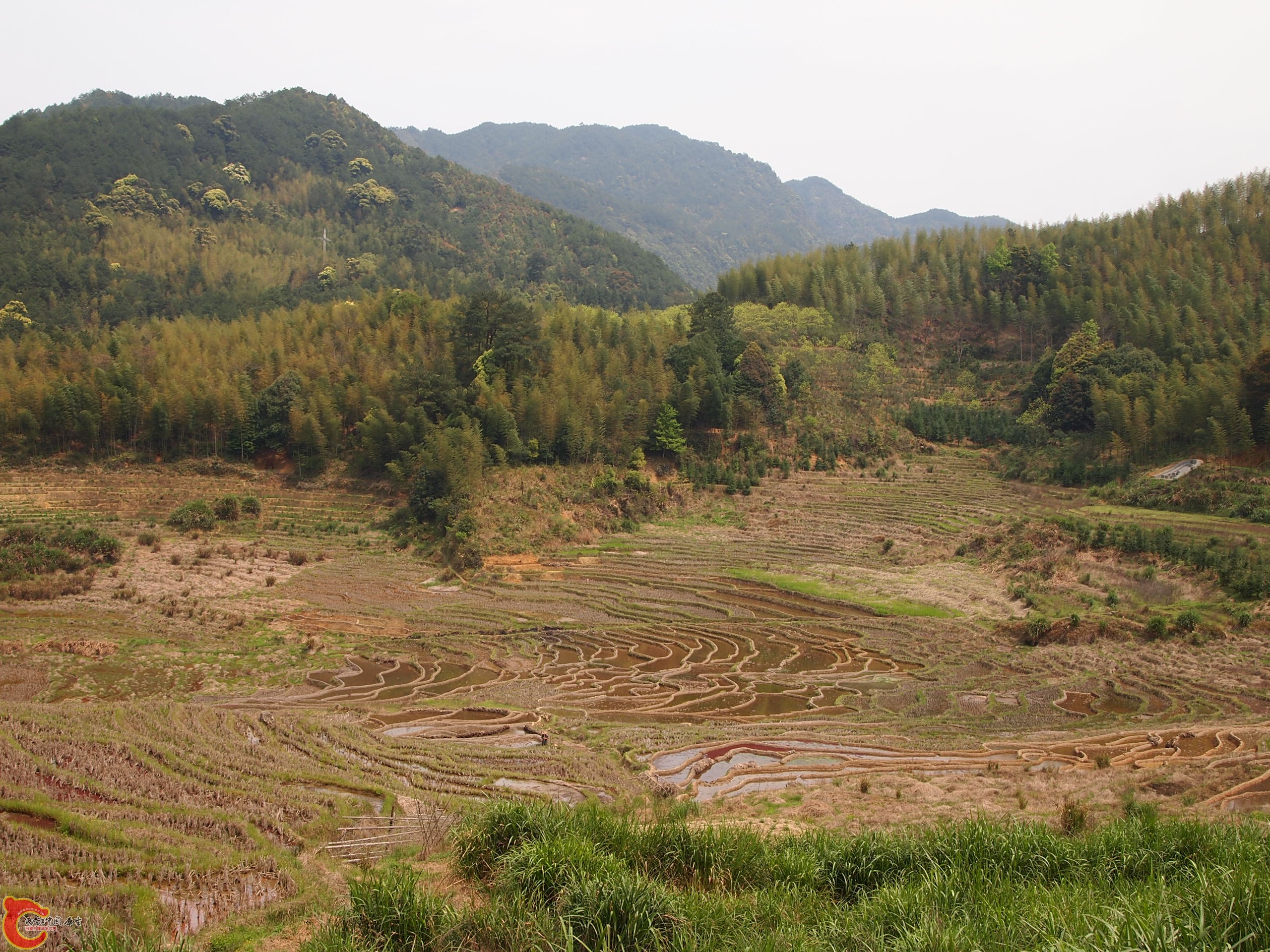 P4025907.JPG