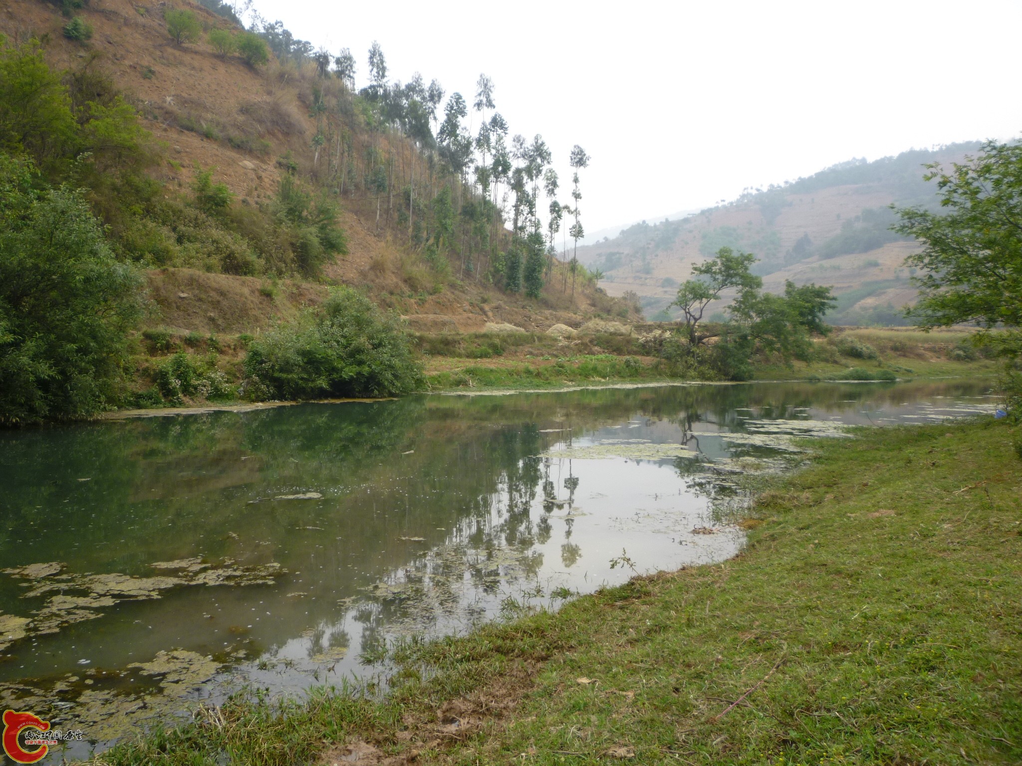 P1050168.JPG