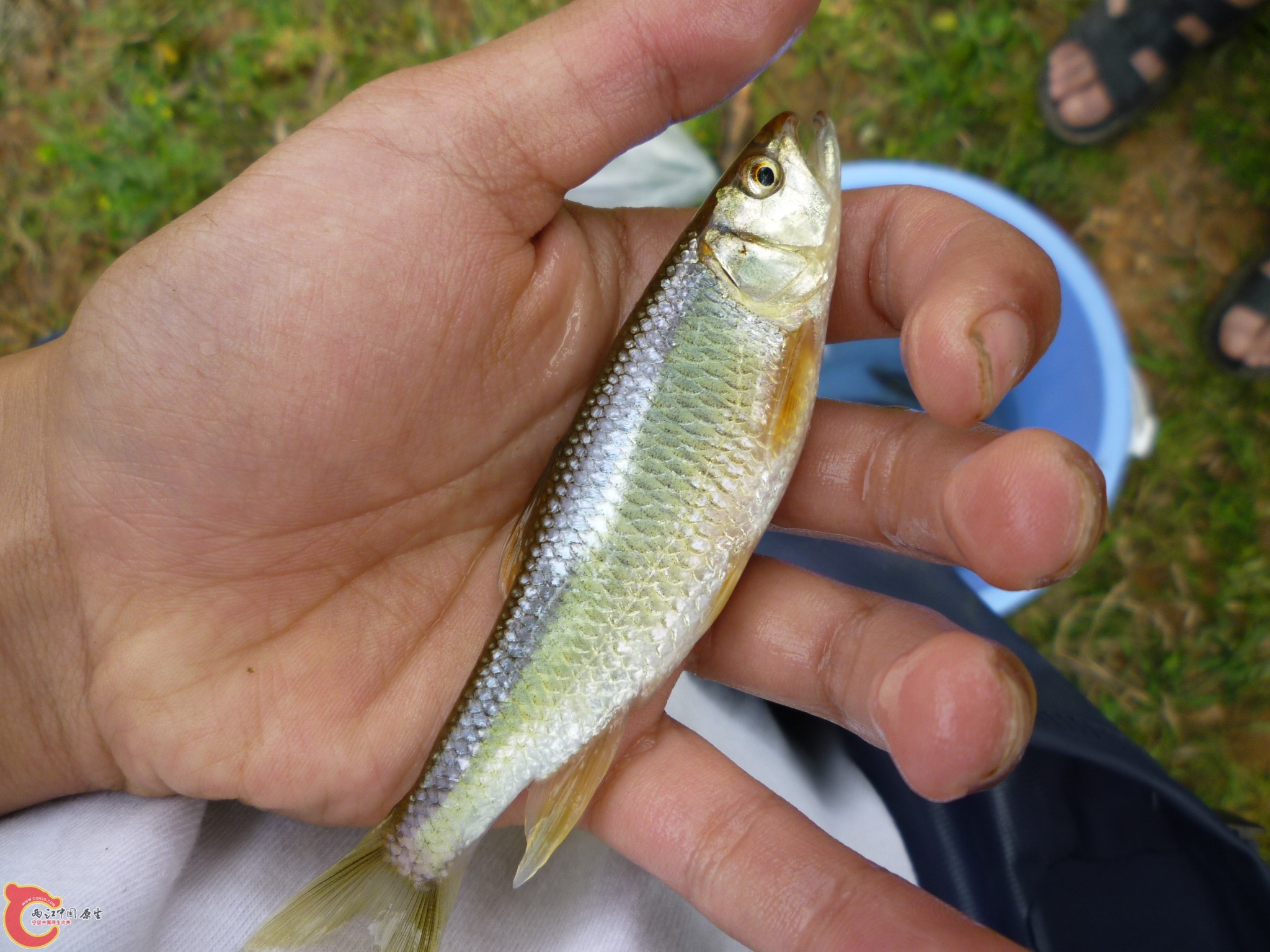 P1050173.JPG