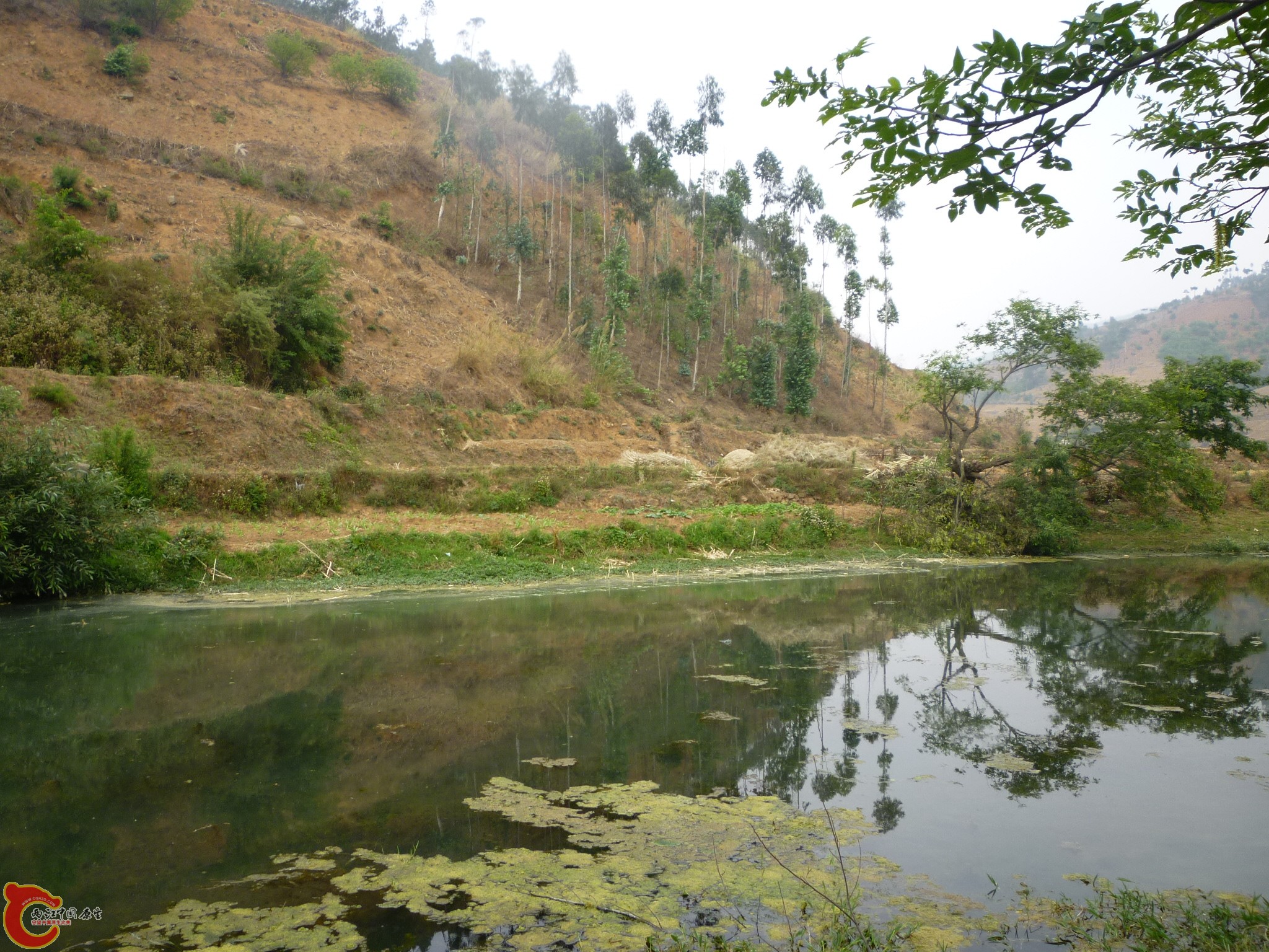 P1050184.JPG